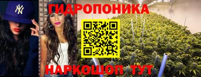первитин Пенза